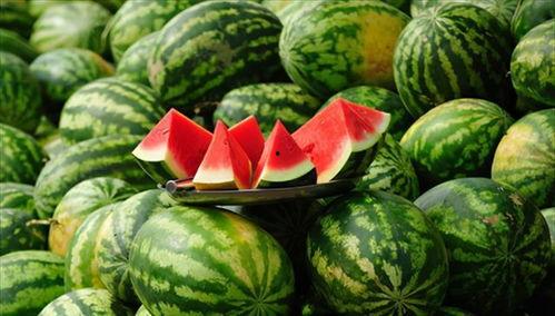 吃皇上的瓜,揭秘吃皇上的瓜背后的故事